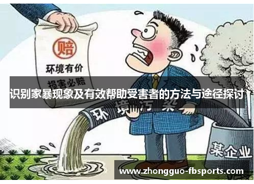 识别家暴现象及有效帮助受害者的方法与途径探讨